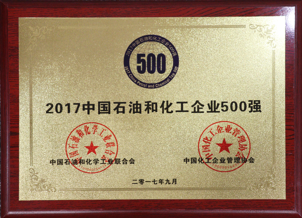 Sennics Hits the List of China's Top 500...